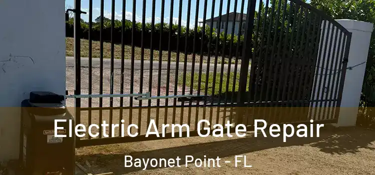  Electric Arm Gate Repair Bayonet Point - FL