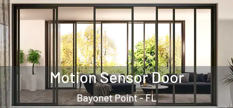 Motion Sensor Door Bayonet Point - FL
